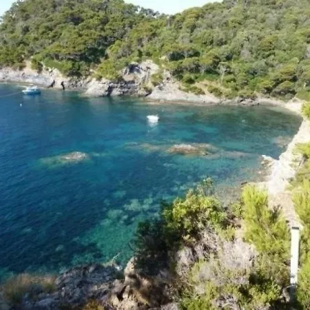 Appartement Hyères, 2 Pièces, 4 Personnes - Fr-1-335-75